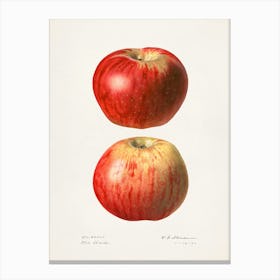 Apple Print 1 Canvas Print