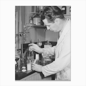 Salinas, California, Intercontinental Rubber Producers, Harry Baucher, Head Chemist, Works On Deresinating Tests Canvas Print