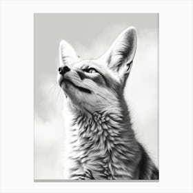 Bengal Fox Portrait Pencil Drawing 4 Canvas Print