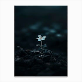 Small White Flower In The Dark Canvas Print