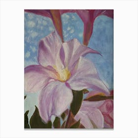 Dipladenia Pink,acrylic  Canvas Print