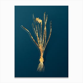 Vintage Rush Leaf Jonquil Botanical in Gold on Teal Blue n.0309 Canvas Print