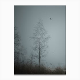A Tree In A Foggy Forest. Canvas Print