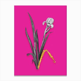 Vintage Crimean Iris Black and White Gold Leaf Floral Art on Hot Pink n.0144 Canvas Print