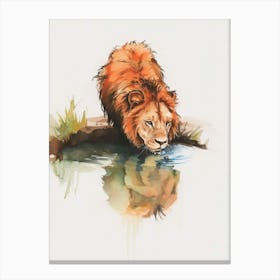 African Lion Drinking From A Watering Hole Clipart 1 Canvas Print
