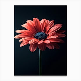 Gerbera Daisy 26 Canvas Print