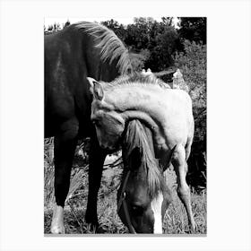 Naturetenderness Canvas Print