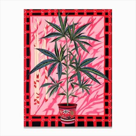 Pink And Red Plant Illustration Dracaena 3 Canvas Print