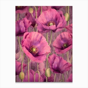 Poppies 17 Canvas Print