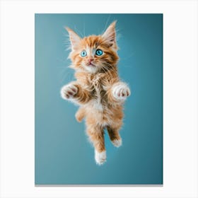 Cute Kitten In The Air Canvas Print