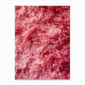 Pink Fur Background Canvas Print