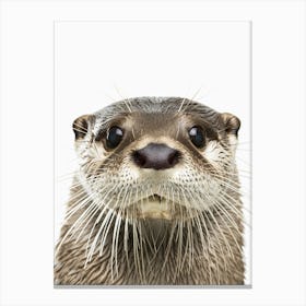 Otter Canvas Print