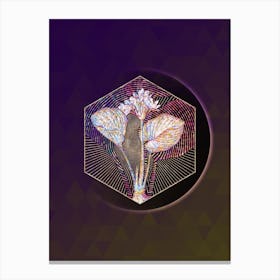 Abstract Cardwell Lily Mosaic Botanical Illustration Canvas Print