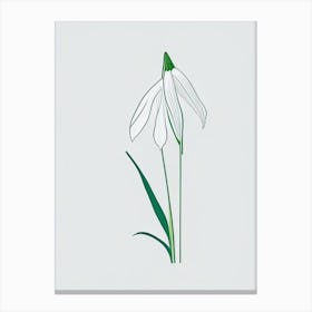 Snowdrop Floral Minimal Line Drawing 1 Flower Canvas Print