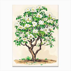 Magnolia Tree Storybook Illustration 2 Canvas Print