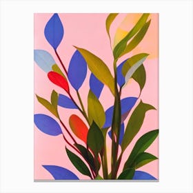 Maranta Colourful Illustration Plant Canvas Print