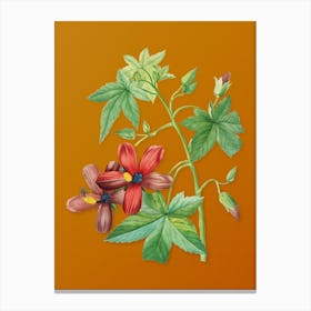 Vintage Lavatera Phoenicea Botanical on Sunset Orange n.0292 Canvas Print