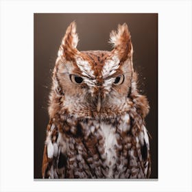 Warm Brown Screech Owl Canvas Print