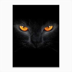 Black Cat With Orange Eyes Canvas Print