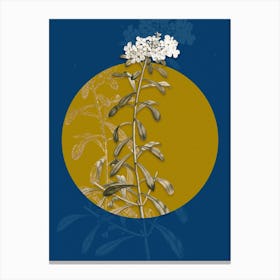 Vintage Botanical Small White Flowers on Circle Yellow on Blue Canvas Print
