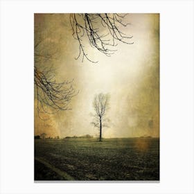 The Tree Across The Field Canvas Print