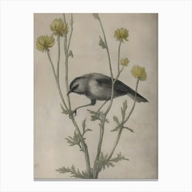 Bird Perched On A Flower Canvas Print