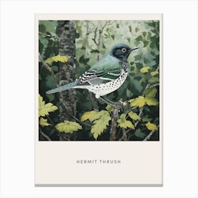 Ohara Koson Inspired Bird Painting Hermit Thrush 2 Poster Canvas Print