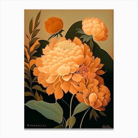 Bartzella Peonies Orange 1 Vintage Sketch Canvas Print