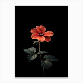 Black Flower 5 Canvas Print