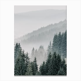 Pine Forest View Canvas Print