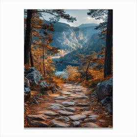 Rocky Path In Autumn Canvas Print