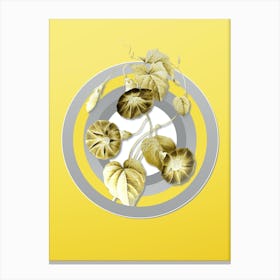 Botanical Morning Glory in Gray and Yellow Gradient n.304 Canvas Print
