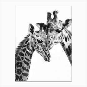 Pencil Portrait Of Giraffe Mother & Calf 1 Canvas Print