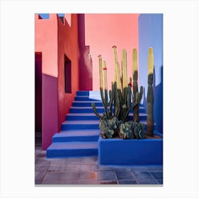 Cacti On Indigo Blue Wall Summer Photography Canvas Print