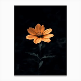 Single Orange Flower 3 Canvas Print