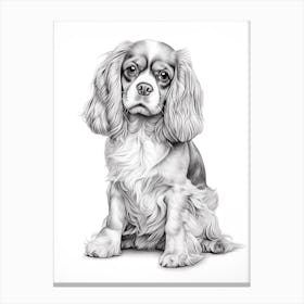 Cavalier King Charles Spaniel Dog, Line Drawing 3 Canvas Print