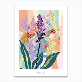 Colourful Flower Illustration Poster Bee Balm 2 Canvas Print