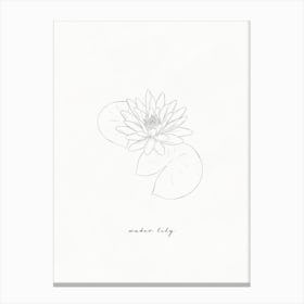 Water Lily Line Drawing Canvas Print