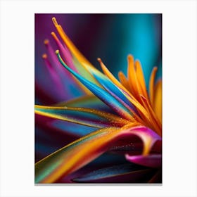 Colorful Flower Canvas Print