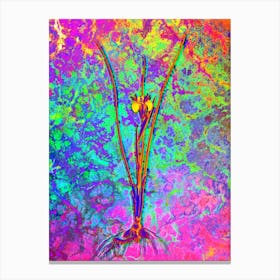 Snake's Head Botanical in Acid Neon Pink Green and Blue n.0304 Canvas Print