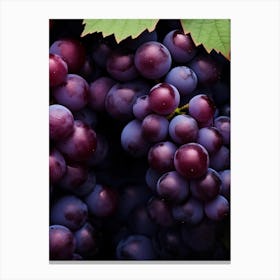 Purple Grapes 1 Canvas Print