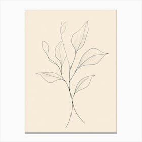 Line Drawing Of A Leaf 54 Canvas Print