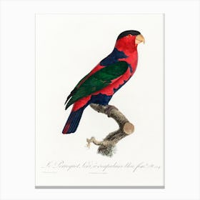 The Black Capped Lory (Lorius Lory) From Natural History Of Parrots, Francois Levaillant Canvas Print