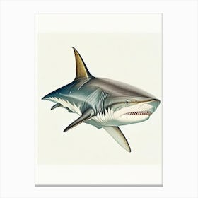 Shark Close Up 2 Vintage Canvas Print