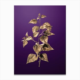 Gold Botanical Black Birch on Royal Purple n.3080 Canvas Print