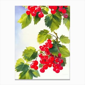 Redcurrant Italian Watercolour fruit Canvas Print