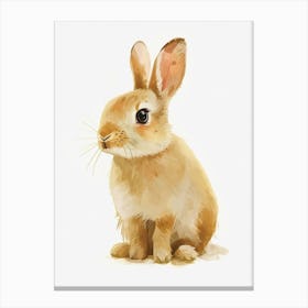Dutch Rabbit Kids Illustration 3 Canvas Print