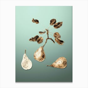 Gold Botanical Pear on Mint Green n.3814 Canvas Print