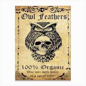 Owl Feathers, Halloween Poster Canvas Print