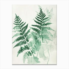 Green Ink Painting Of A Netted Chain Fern 4 Canvas Print